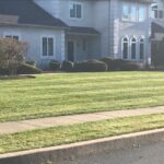 Unique Designers and Landscapers Lawn Care