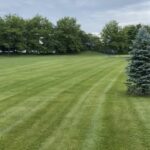 Unique Designers and Landscapers Lawn Care