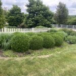 Unique Designers and Landscapers Tree and Shrub Care