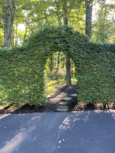 Unique Designers and Landscapers Tree and Shrub Care