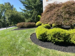Unique Designers and Landscapers Plant Bed Maintenance