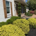 Unique Designers and Landscapers Tree and Shrub Care