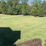 Unique Designers and Landscapers Lawn Care